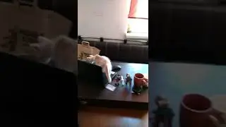9 сентября 2018 г.