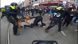 Der Hund #stemzeweg #boerenprotest #11maart2023