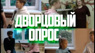 Дворцовый опрос  / опрос
