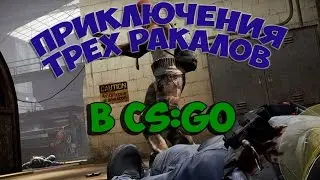 ПРИКЛЮЧЕНИЯ ТРЁХ РАКАЛОВ | CS:GO