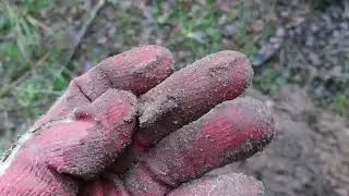 Один в глухом лесу. Ищу клад (средневековье).