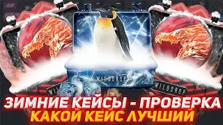 WILDDROP ЗИМНИЕ КЕЙСЫ - ПРОВЕРКА | КАКОЙ КЕЙС ЛУЧШИЙ | ПРОВЕРКА САЙТА | ОТКРЫТИЕ КЕЙСОВ КС