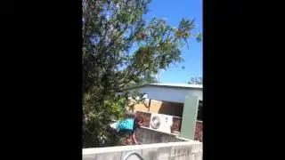 Brodie James Eats Shit!