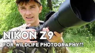 Is the Nikon Z9 The BEST NEW Camera For Bird and Wildlife Photography?!