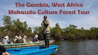 The Gambia, West African Tour at Makasutu Culture Forest