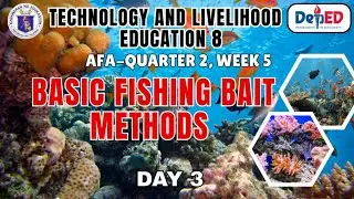 TLE 8-AFA. Quarter 2, Week 5, Day 3