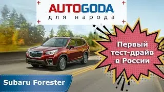 2019 Subaru Forester 5th Generation - Test Drive. Subaru Forester 5 - First Look and Owner Reviews