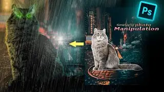 timelapse photo manipulation || photoshop || entertaining art