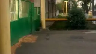 Как было и что стало в Калининской