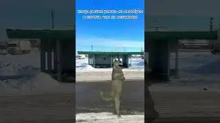 Коротко о ситуации с автобусами в Шадринске.
