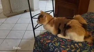 Grasse matinée