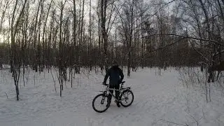 Велозима