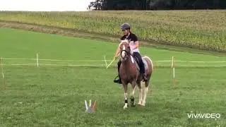 Mounted Games 4 Flag Training