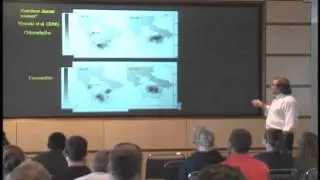 Hypoxia on the Louisiana Shelf - Dr. Thomas S. Bianchi