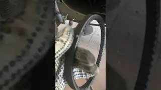 Почему ревёт ремень вариатора