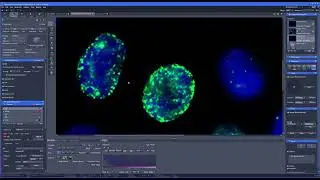 Performance comparison (ZEISS) - Part 2/14 #zeiss  #microscope #fluorescence
