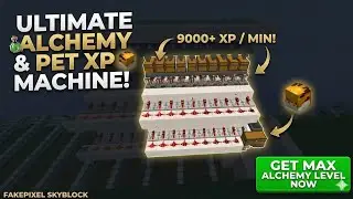 THE FASTEST ALCHEMY+PET XP FARM GUIDE|FAKEPIXEL SKYBLOCK|