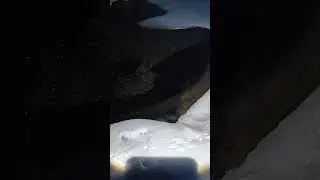 Замор 2024