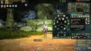 Black Desert | квесты с озвучкой. Ключ из древних развелин и Второй фрагмент плиты. [183]
