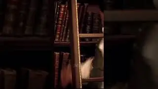 какую вам книжку? Шанхайские рыцари #shorts #short #фильм #кино #фильмнавечер