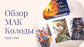 Обзор МАК  Сила стаи