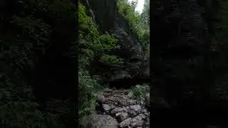 пасть дракона)