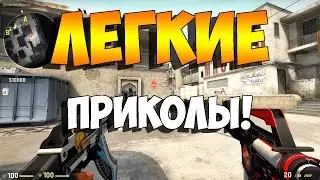 CS:GO - Приколы!