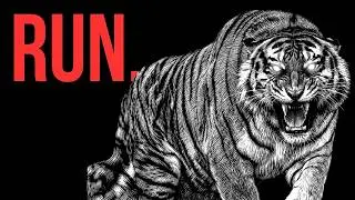Why You Should Be Terrified of Tigers | Nature incidents