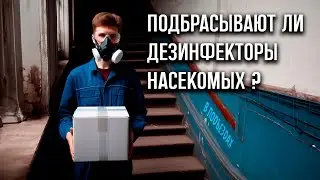 Какие тайны хранят подъезды домов... Кто и зачем подбрасывает в них тараканов и клопов