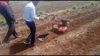 Power Weeder with Ridger
