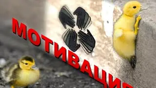 МОТИВАЦИЯ от Андрея Головащенко.