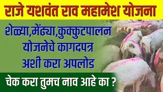 महामेश योजनेची कागदपत्रे कशी अपलोड करायची | Mahamesh Yojana 2024 Document Upload | Career Katta