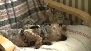 My Pussy Loves it Doggy STYLE