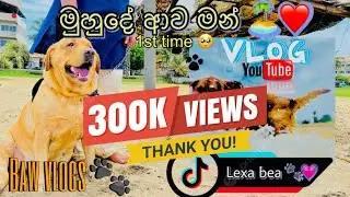මුහුදේ නෑම 🌊❤️|| බව් vlog 2 || Lexa bea🐾💗
