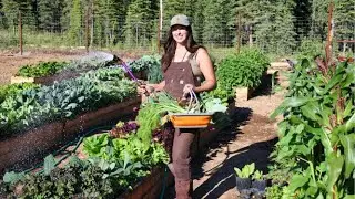 July Garden Tour | Installing a New Well Pump at the Cabin