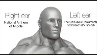 Right ear vs Left  ear meme