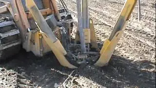 Dutchman Tree Spade 1