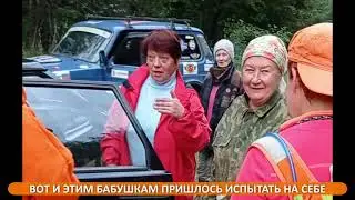 1-е грибное сентября