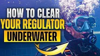 Scuba Diving: How to Clear Your Regulator Underwater on Your PADI Open Water Course in Thailand