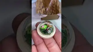 Cute Frogs Tiktok juliclayshop