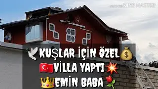 He made a special villa for pigeons IN BElgium