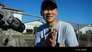 Pest Control Shooting  Starlings with FX Crown