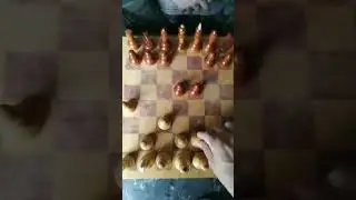 Виноградное начало