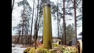 Бамбуковка