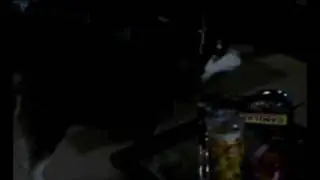 Siberian Husky Barked at Dalmatian 102