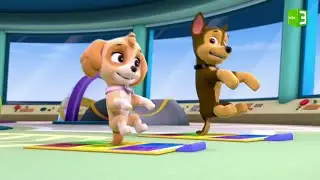 سكاي ورقصة الجرو 🐶