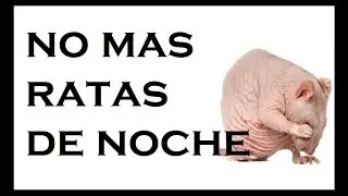 SONIDO para🔴 ESPANTAR🔴  ratones ✔