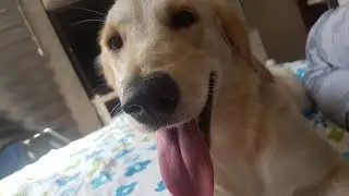 BABABABABABABABABABABABABABABA