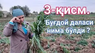 3 ҚИСМ 