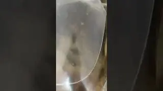 Отправить